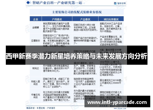 西甲新赛季潜力新星培养策略与未来发展方向分析