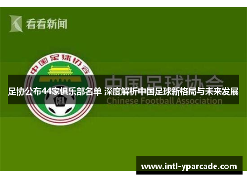 足协公布44家俱乐部名单 深度解析中国足球新格局与未来发展