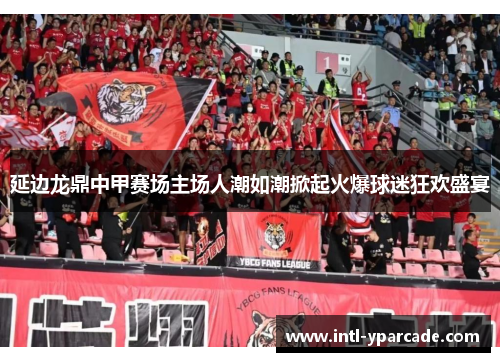 延边龙鼎中甲赛场主场人潮如潮掀起火爆球迷狂欢盛宴 延边龙鼎中甲赛场主场人潮如潮掀起火爆球迷狂欢盛宴